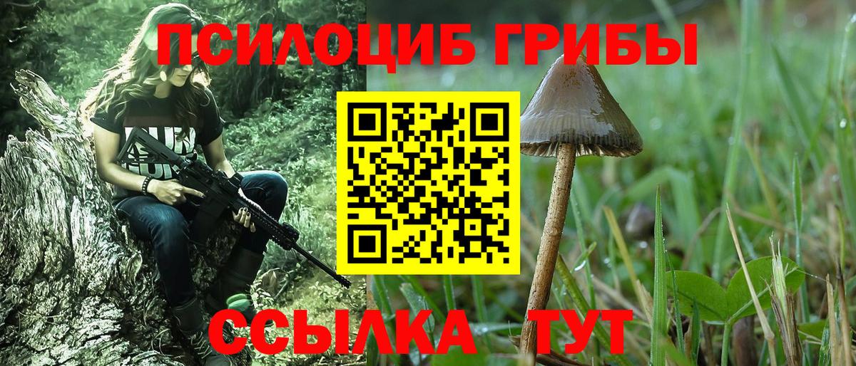 Удомля  Псилоцибиновые грибы прущие грибы  Вход с VPN 