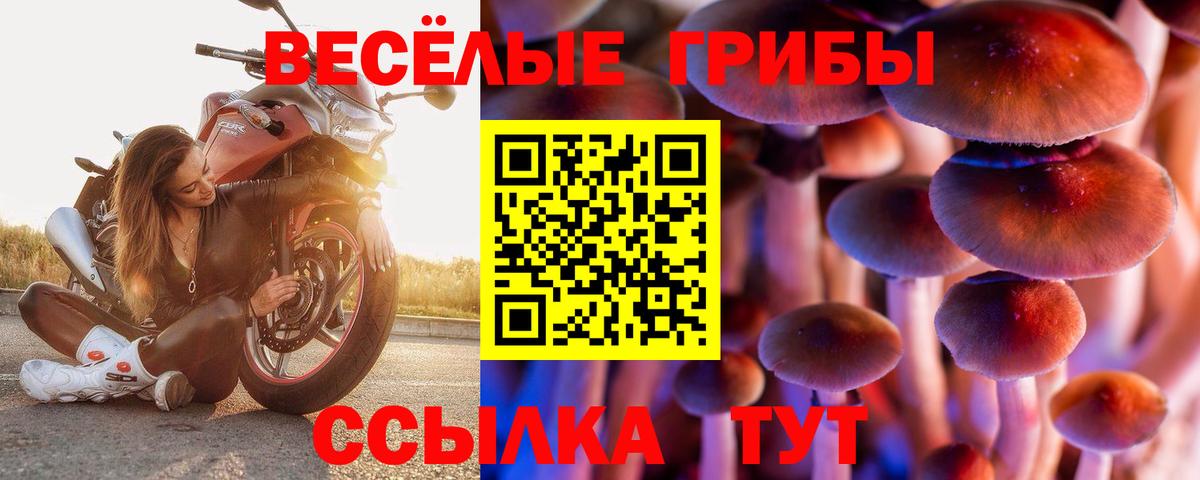 Галлюциногенные грибы Cubensis Удомля
